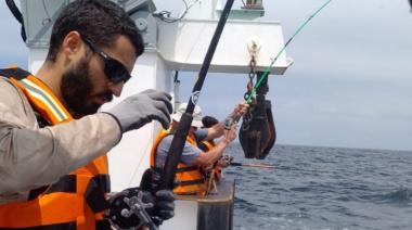 El INIDEP avanza con una nueva campaña para estudiar peces pelágicos grandes en el banco de pez limón