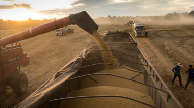 Las exportaciones agroindustriales cerraron 2025 con un crecimiento del 9,3% y superaron los USD 50.500 millones