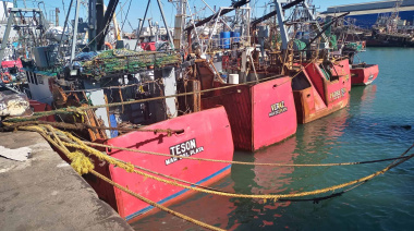 La flota fresquera de Mar del Plata inicia el año con actividad parcial y demoras por mal tiempo