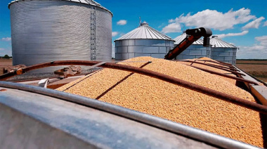 La industria aceitera argentina mantiene su incidencia en la formación del precio de la soja