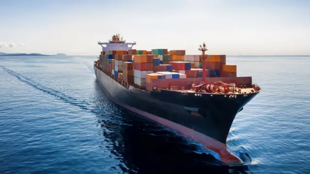 La flota ociosa de portacontenedores sigue sin mostrar señales de sobrecapacidad a inicios de 2026