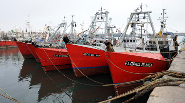 Inicio de la temporada fresquera 2026: desembarco de merluza y calamar en Mar del Plata