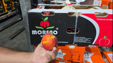Mendoza vuelve a exportar duraznos en fresco al mercado de Dubái