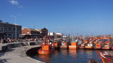 Regresó el atún barrilete a la banquina histórica de Mar del Plata tras más de tres décadas