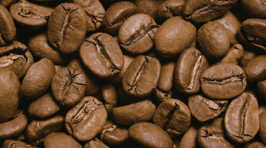 Exportadores de café de Brasil registraron pérdidas logísticas millonarias por fallas portuarias en 2025