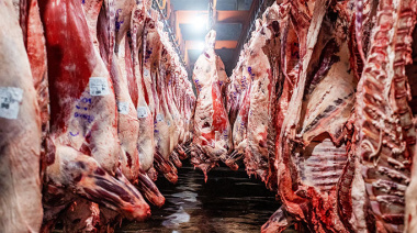 El Gobierno distribuyó el cupo 2026 de carne vacuna deshuesada con destino a Estados Unidos