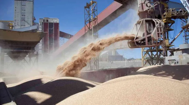 La industria aceitera argentina alcanzó en 2025 el mayor nivel histórico de molienda de oleaginosas