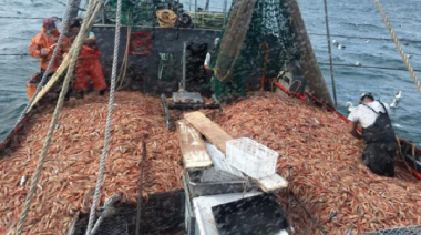 Santa Cruz pidió al Consejo Federal Pesquero la apertura de las Subáreas 15 y 16 para sostener la actividad langostinera