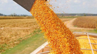 Córdoba: la agroindustria explicó el 85% de los ingresos por exportaciones en 2025