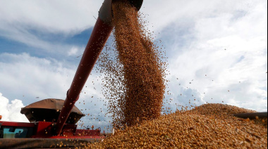 La soja pega un salto en Chicago y sacude al principal complejo exportador argentino