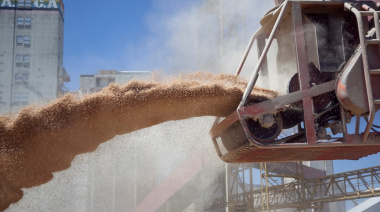 Más de 10 millones de toneladas: Las DJVE de enero marcaron un récord