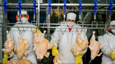 Argentina reabre el mercado de carne aviar a la Unión Europea tras habilitaciones sanitarias