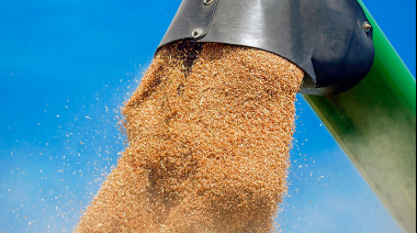 La caída en los precios del trigo deteriora el poder de compra del productor frente a los costos de producción