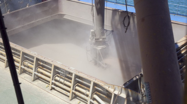 China recibió el primer embarque de trigo argentino