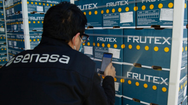 Argentina incorpora a México al sistema ePhyto y amplía el comercio fitosanitario digital