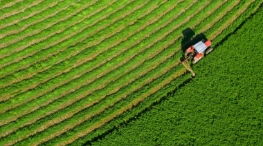 Exportaciones de alfalfa batieron récord en 2025