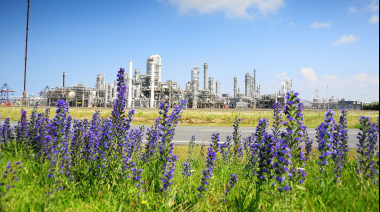 Puerto de Rotterdam presenta plan de transición climática para reducir emisiones en el área portuaria