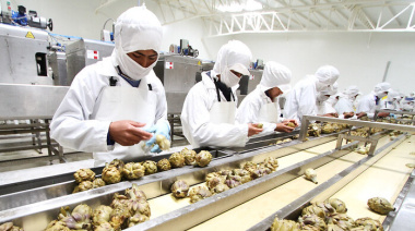 Perú lideró el crecimiento regional de las exportaciones no tradicionales en 2025