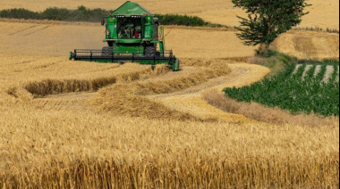El trigo se encamina a una de las mejores campañas de los últimos años