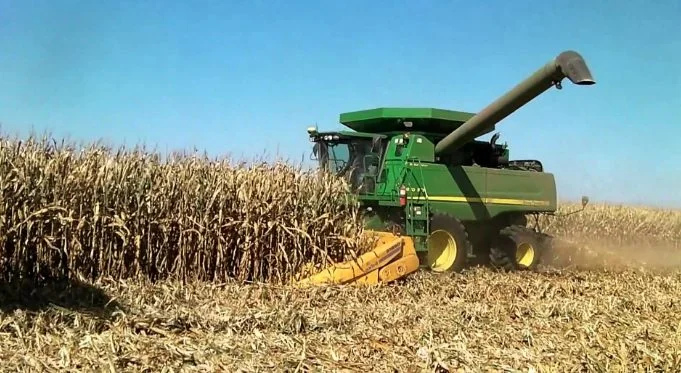El maíz cae a US$ 167,6 en Chicago mientras avanza la cosecha y la comercialización 2025/26