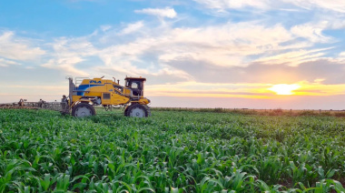 Entre el récord triguero y la debilidad de la soja: así cerró el agro 2025