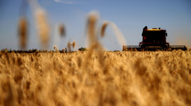 Las exportaciones agroindustriales alcanzaron en enero su nivel más alto en diez años