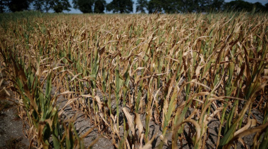 Nación declara y prorroga la emergencia agropecuaria en Santa Fe, Buenos Aires y Río Negro