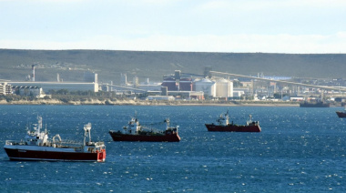 El Consejo Federal Pesquero distribuyó cuotas y avanzó en nuevos permisos