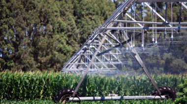El RIMI abre un nuevo escenario para las inversiones agroindustriales