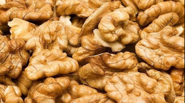 Mendoza refuerza controles para garantizar el traslado seguro de frutos secos durante la cosecha 2026