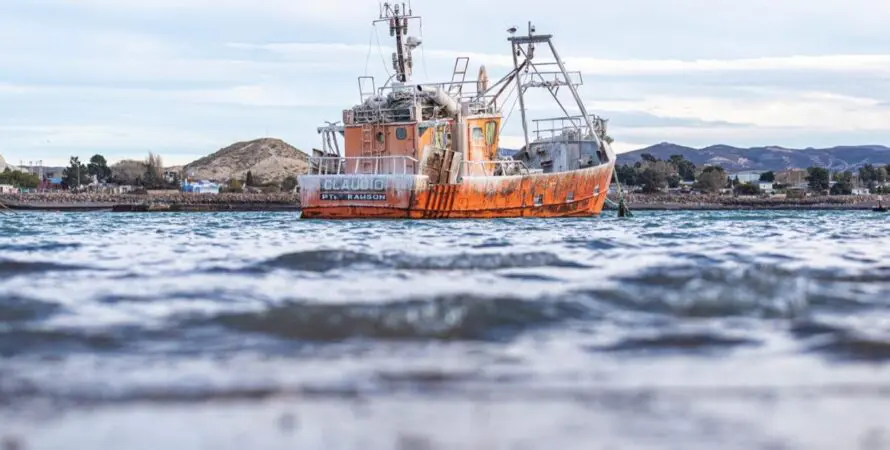 Resultados positivos en la prospección de merluza frente a Camarones