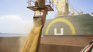 Brasil: la carga portuaria crece 12,8% en enero y supera las 104 millones de toneladas