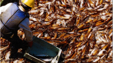 La captura de calamar marca un récord histórico y supera las 120.000 toneladas en el primer bimestre