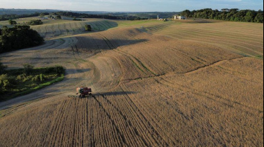 Brasil amplía su ventaja productiva sobre Argentina y crece la brecha en el agro