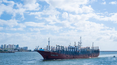 Ante la caída de rendimientos en el sur, inicia la prospección de calamar al norte del paralelo 44°S