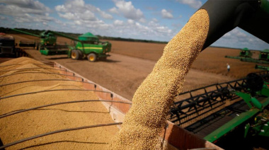 La campaña de maíz 2025/26 se encamina a niveles récord de producción y exportaciones