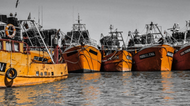 CAPIP advierte por el impacto de los costos y pone en duda la rentabilidad de la temporada de langostino