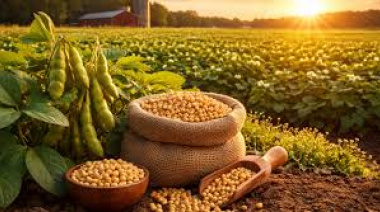 El aumento de fertilizantes y la demanda de biocombustibles impulsan la soja a nivel global
