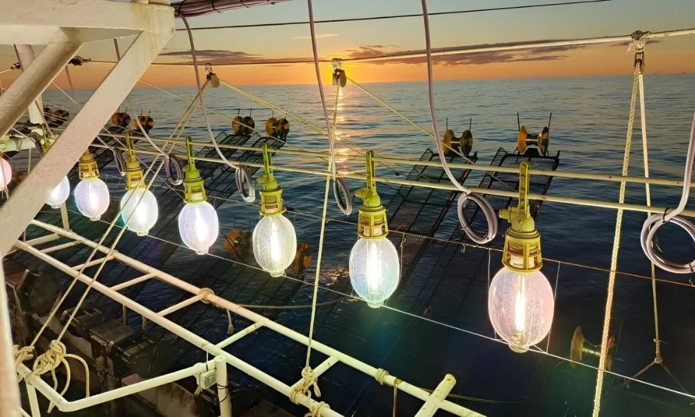 Prorrogan la prospección de calamar al norte del paralelo 44°S