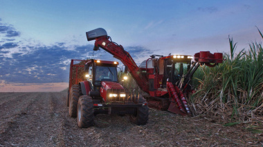 Suben los precios globales de los alimentos por el impacto de la energía y el conflicto en Medio Oriente
