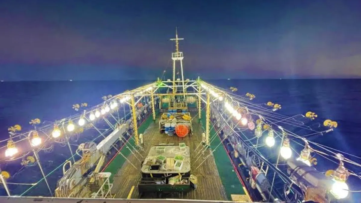 Habilitan la pesca de calamar al norte del 44°S tras resultados favorables de la prospección