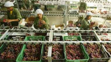 Perú exportó casi US$ 1.000 millones en frutas y hortalizas en enero