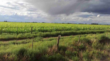 El clima transita de La Niña hacia un posible evento de El Niño en la próxima campaña