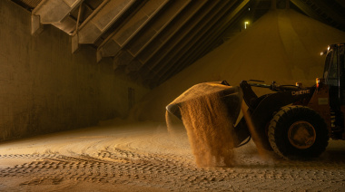 El aceite gana protagonismo en la soja y redefine el negocio industrial