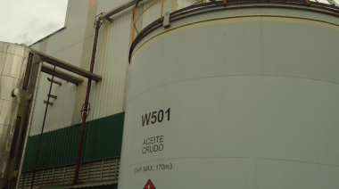 La soja refuerza su vínculo con el mercado energético en Estados Unidos