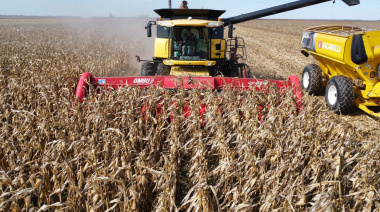 El ingreso de divisas del agro superó los US$ 2.000 millones en marzo