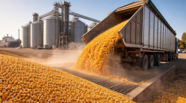 Las existencias de maíz alcanzaron un récord histórico de 19,3 millones de toneladas al primero de abril