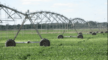 El RIMI contempla beneficios especiales para el agro: amortización en un año para riego, mallas antigranizo y genética animal sin monto mínimo de inversión