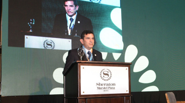 El girasol argentino vive un momento histórico y puede convertirse en un ‘Mar de Girasol’