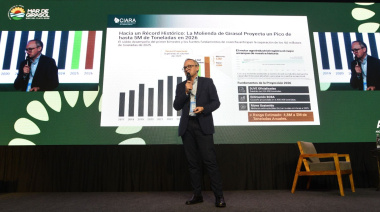 El girasol “es la estrella” pero enfrenta desafíos para consolidar su crecimiento